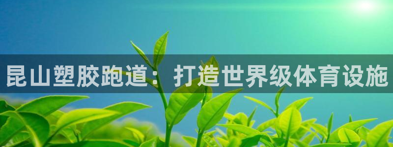 尊龙凯时麻将胡了：昆山塑胶跑道：打造世界级体育设施