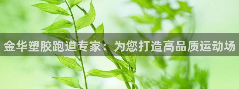 凯时登录平台去AG发财网：金华塑胶跑道专家：为您打造