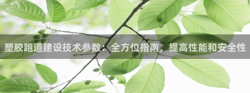 尊龙人生就是博登录网址下载：塑胶跑道建设技术参数：全方位指南