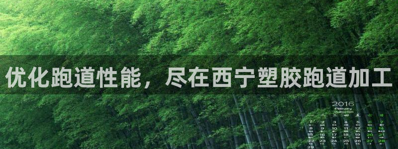 尊龙目前情况：优化跑道性能，尽在西宁塑胶跑道加工